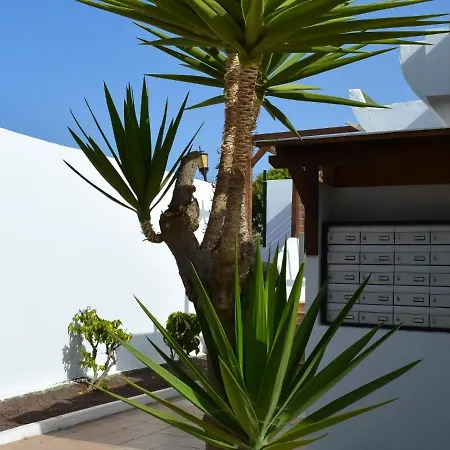 Apartamento Dunasol 341 Corralejo