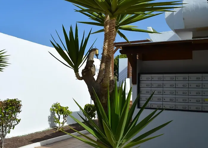 Apartmán Dunasol 341 By Holidays Fuerteventura Corralejo